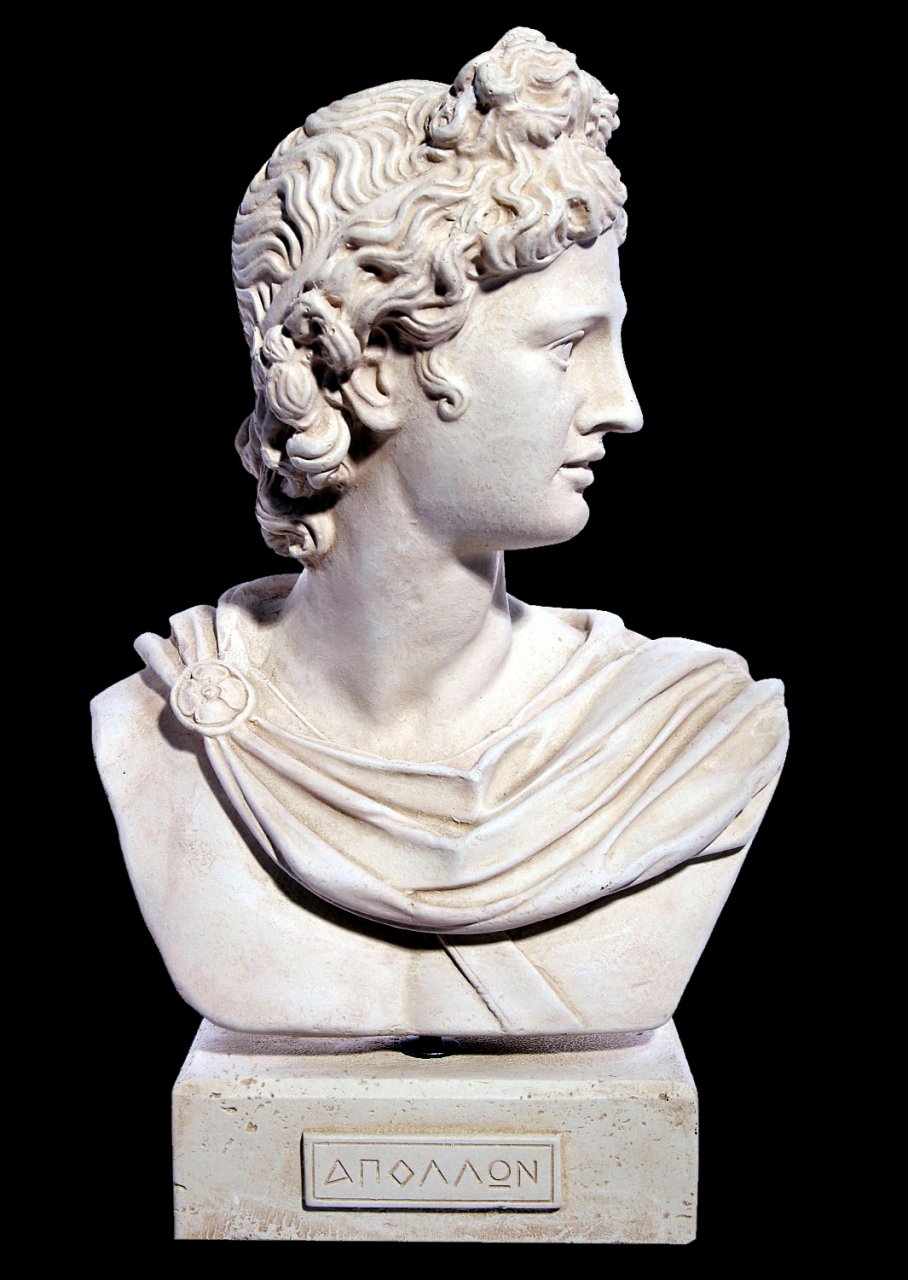 Apollo greek plaster roman bust statue
