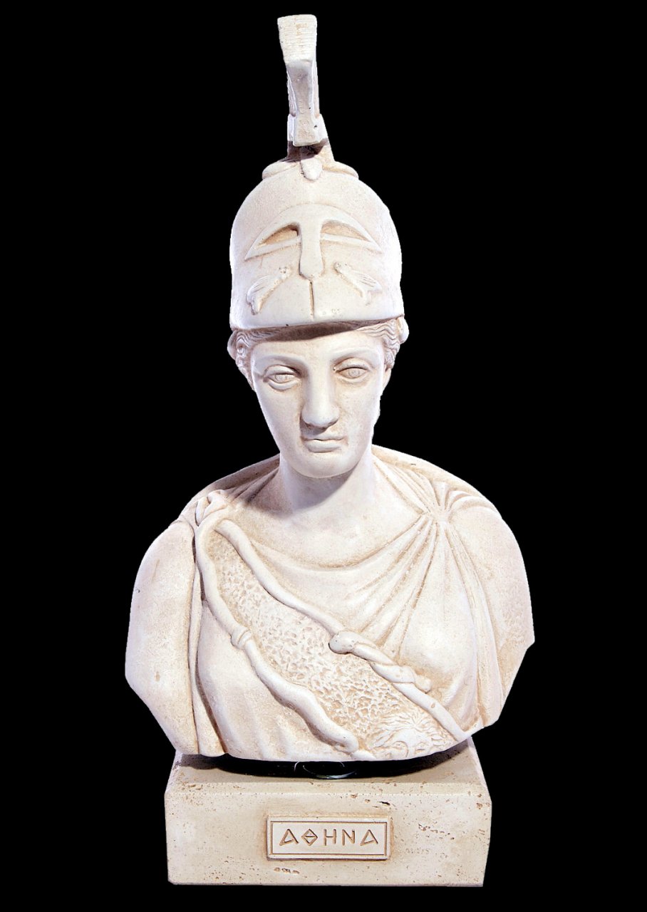 Athena greek plaster bust statue
