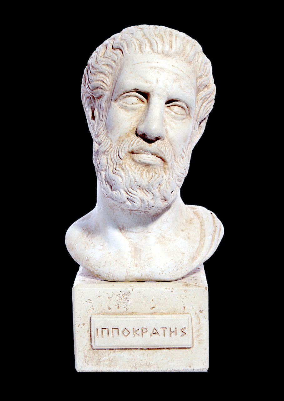 Hippocrates (Ippokrates) greek plaster bust statue 