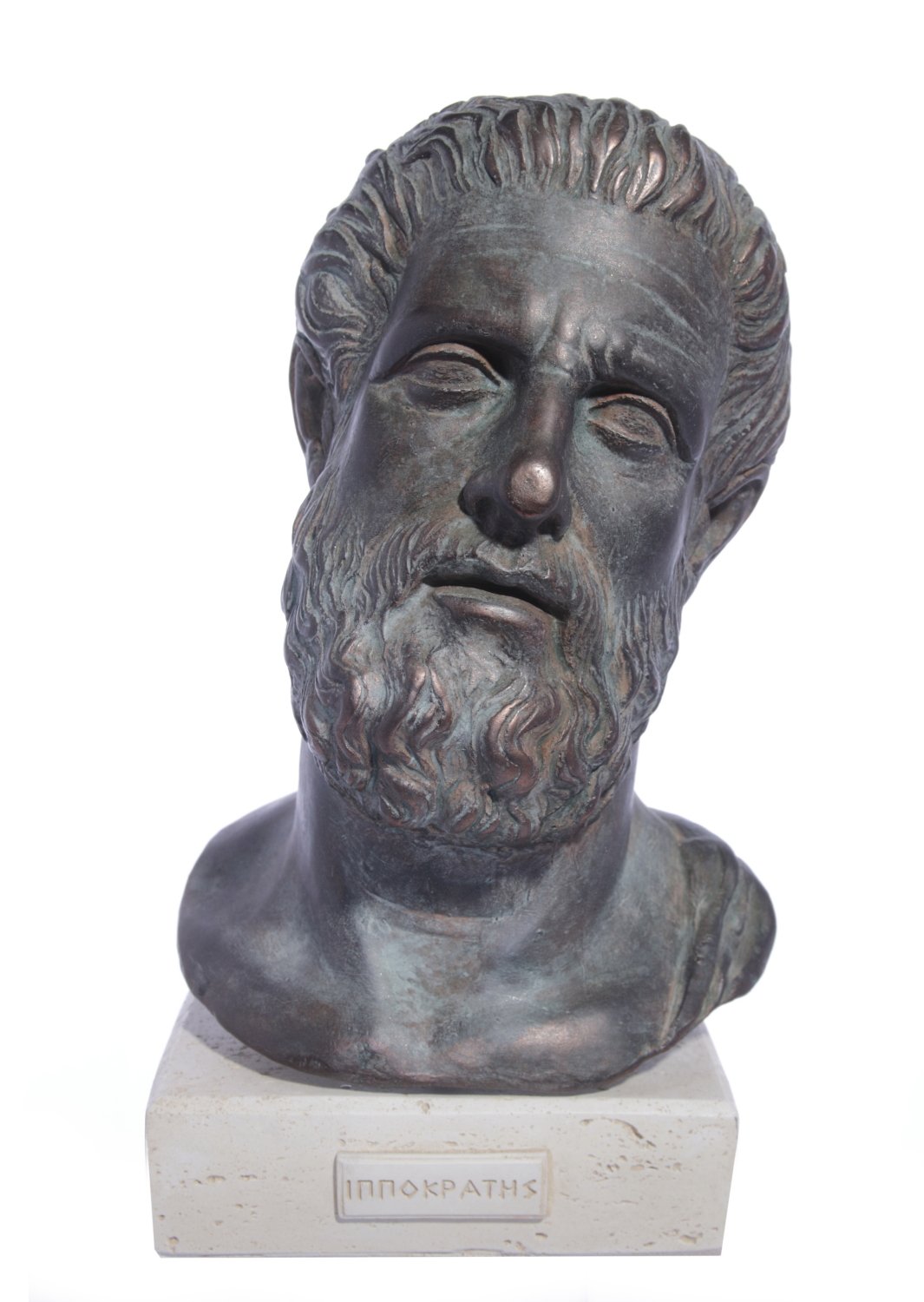 Hippocrates (Ippokrates) green greek plaster bust statue 
