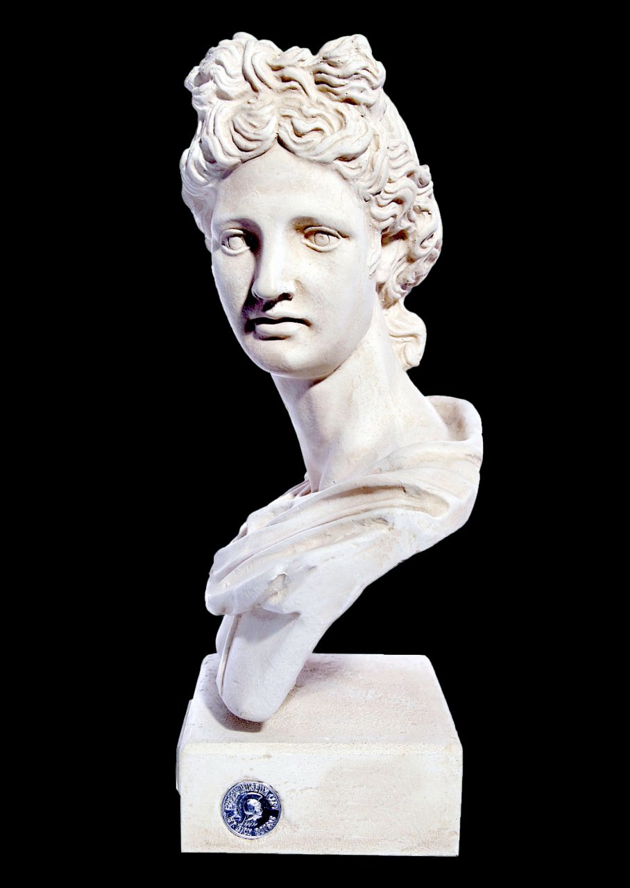 Apollo greek plaster roman bust statue