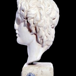 Alexander the Great greek plaster bust  2