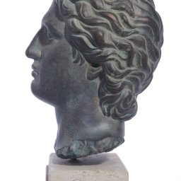 Alexander the Great large plaster bust  2