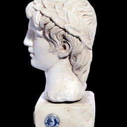 Greek plaster bust statue of Apollo 2