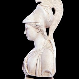 Athena greek plaster bust statue 2