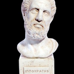 Hippocrates (Ippokrates) greek plaster bust statue  1